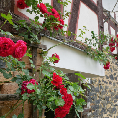 Der Auenlandhof von außen.