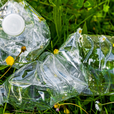 Plastikflaschen liegen auf einer Wiese