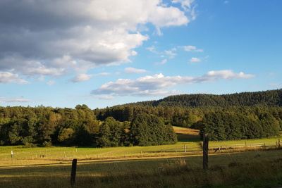 Der herbstliche Wald in Nordhessen