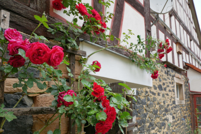Der Auenlandhof von außen.