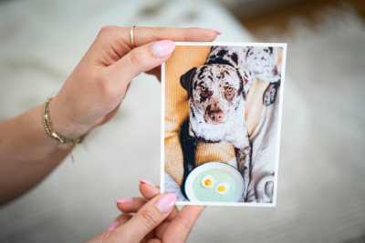 Laura Schleicht zeigt ein Bild ihres Labrador-Mischlings Äppler.