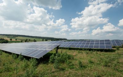 Solarenergie – wichtige Säule der Energiewende