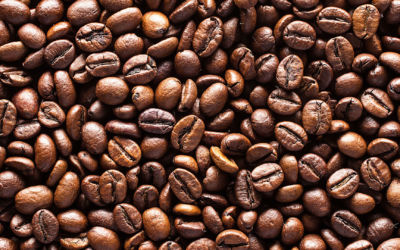 Kaffeekultur aus dem Web-Shop
